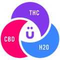 THC Beverages: A Fresh Alternative to Alcohol