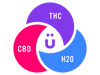 THC Beverages: A Fresh Alternative to Alcohol